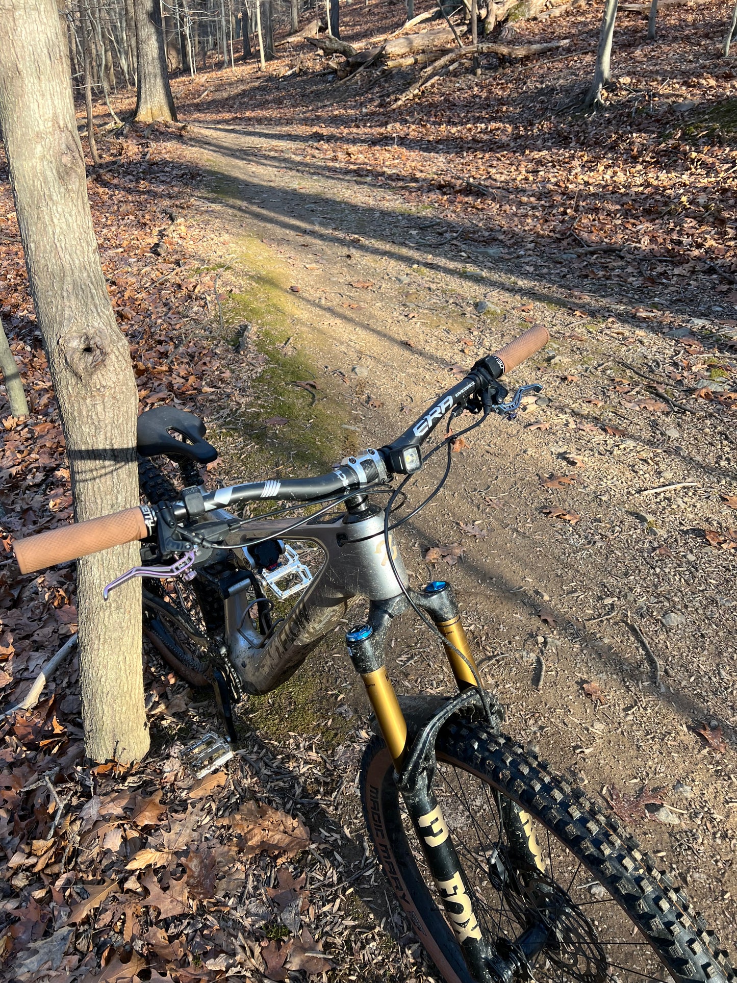 3D Printed Titanium Brake Levers (Magura MT5/7)